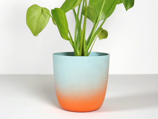 Sunset Flowerpot