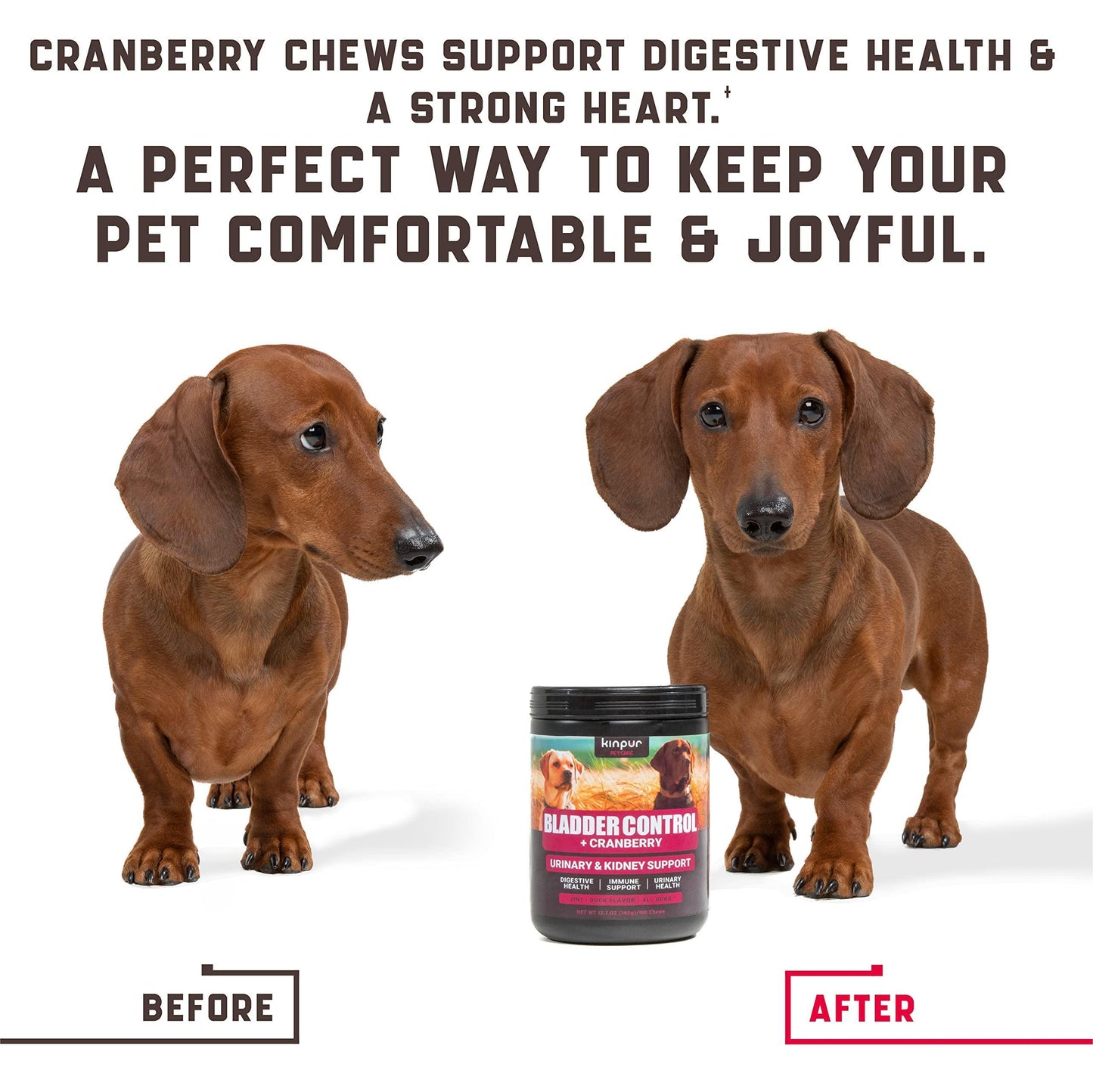 180 Cranberry Chews Dog Cranberry Supplement Natural Aid for