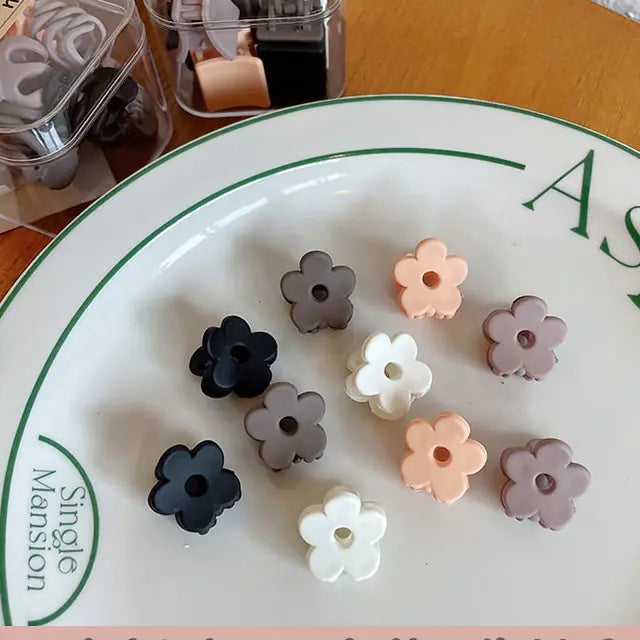 Luxury Matte Mini Hair Claws