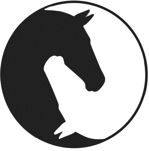 Horse Head - Metal Wall Art