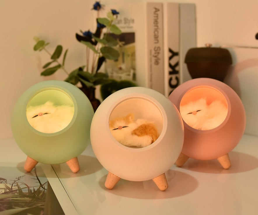 LED Cat Light