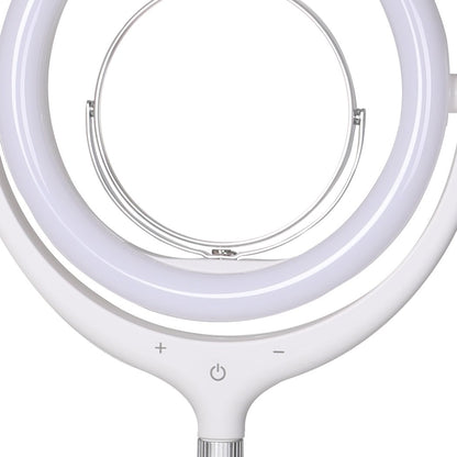 LED Ring Light with Tripod Stand Phone Holder Dimmable Studio Lamp