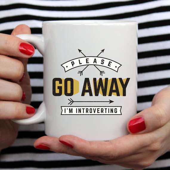 Funny Coffee Mug, Please Go Away I'm Introverting,